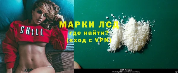 apvp Алзамай
