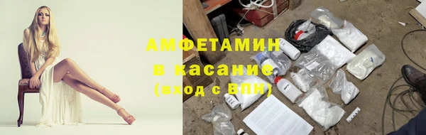 apvp Алзамай