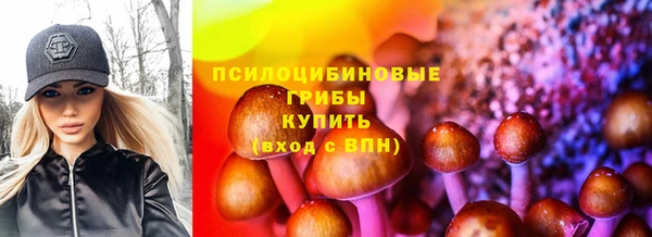 спайс Алексеевка