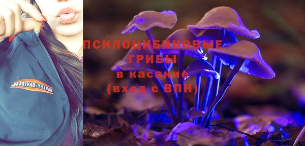 прущая мука Алексин