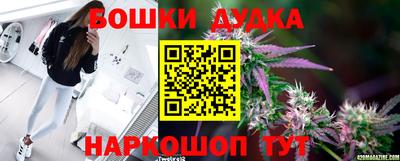 прущие крисы Краснознаменск