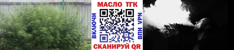 ТГК жижа  купить наркоту  ссылка на мегу онион  Избербаш 