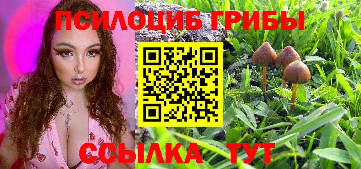 Псилоцибиновые грибы MAGIC MUSHROOMS  Псилоцибиновые грибы MAGIC MUSHROOMS  Вход с VPN  Избербаш 